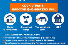 4баннер 385 480 1 декабря 2025